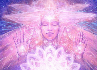 Le lien entre les quatre éléments et nos sens